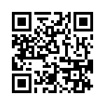 T38313-04-0 QRCode