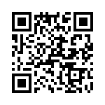 T38327-03-0 QRCode