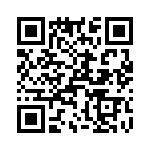 T38335-22-0 QRCode