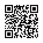 T38338-07-0 QRCode