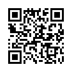 T38360-13-0 QRCode