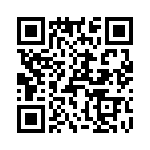 T38361-11-0 QRCode