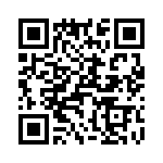 T38362-07-0 QRCode