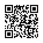 T38363-13-0 QRCode