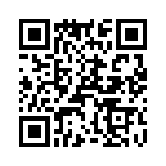 T38410-11-0 QRCode