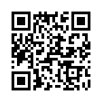 T38420-11-0 QRCode