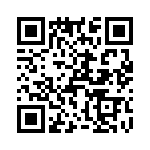 T38421-21-0 QRCode