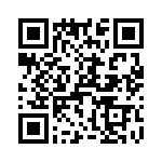 T38423-13-0 QRCode