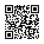 T38428-12-0 QRCode