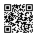 T38433-03-0 QRCode