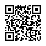 T38433-06-0 QRCode