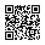 T38437-13-0 QRCode