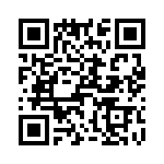 T38440-25-0 QRCode