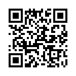 T38442-03-0 QRCode