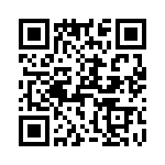 T38443-13-0 QRCode