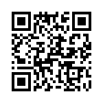 T38448-13-0 QRCode