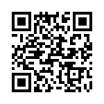 T38465-24-0 QRCode