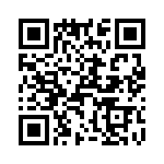 T38512-21-0 QRCode