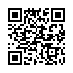 T38515-24-0 QRCode