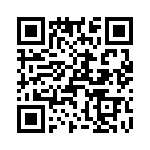 T38520-03-0 QRCode