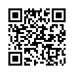 T38522-04-0 QRCode