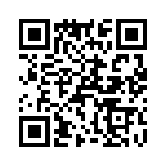 T38523-07-0 QRCode