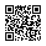 T38528-16-0 QRCode