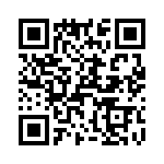 T38528-17-0 QRCode