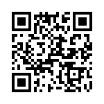 T38530-10-0 QRCode