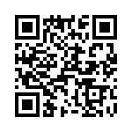 T38530-16-0 QRCode