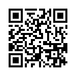 T38530-17-0 QRCode