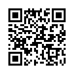 T38531-20-0 QRCode