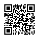 T38535-06-0 QRCode