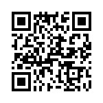 T38538-11-0 QRCode