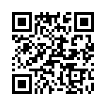 T38545-02-0 QRCode