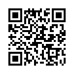 T38563-08-0 QRCode