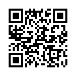 T38565-13-0 QRCode