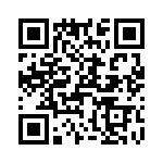 T38565-16-0 QRCode