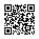 T40824500000G QRCode