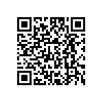 T540D687M2R5DH87057280 QRCode