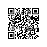 T95Y106M020HZSL QRCode