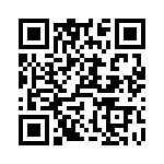 TV07DZ-9-9S QRCode