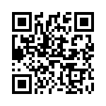 V10E60P QRCode