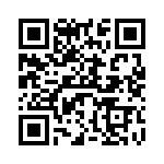 V10P30AUTO QRCode