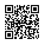 V12P10HE3-87A QRCode