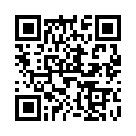 V20E460L1T1 QRCode