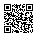 V300B24H250BL3 QRCode