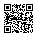 V300B28E250B2 QRCode