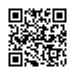 V300B28H250B2 QRCode