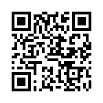 VE13P00151K QRCode